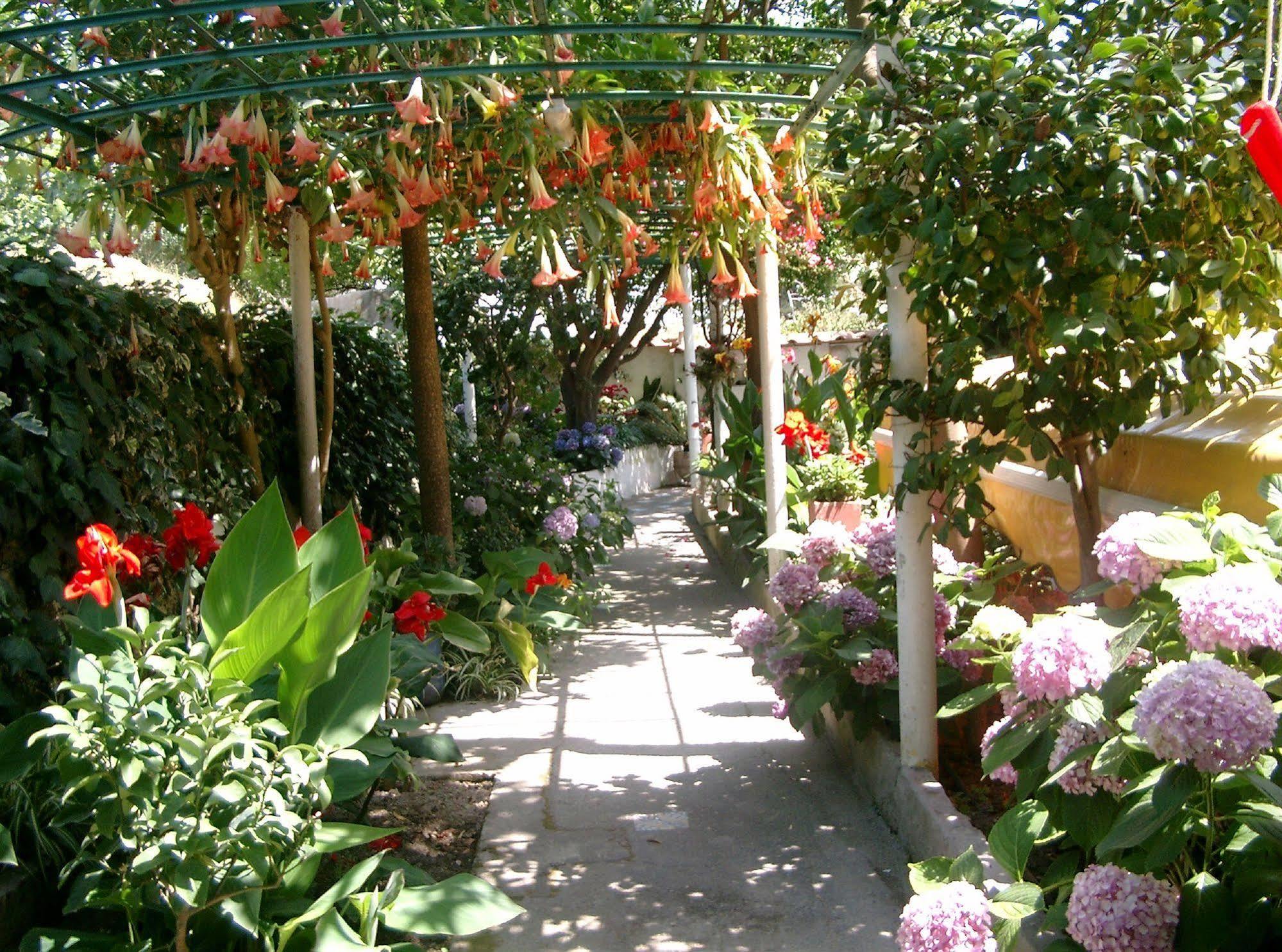 Casamicciola Terme Hotel & Residence Matarese מראה חיצוני תמונה