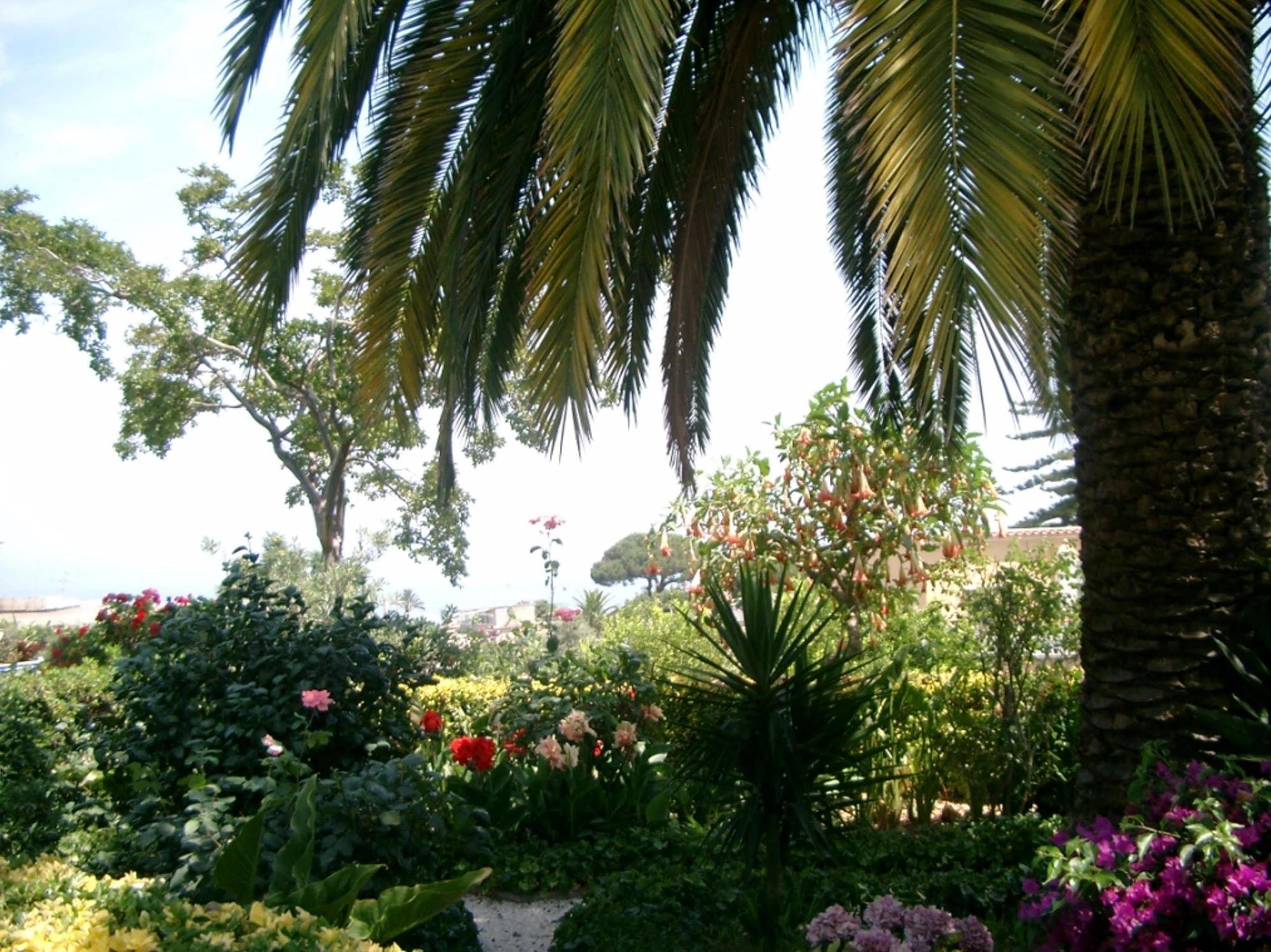Casamicciola Terme Hotel & Residence Matarese מראה חיצוני תמונה